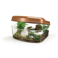 Herp Habitat Bow-Front Terrarium, 23" x 17" x 11"