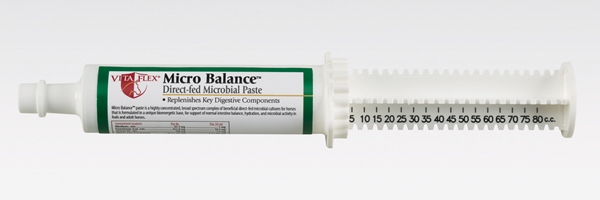 Micro Balance Paste for Horses, 80 ml