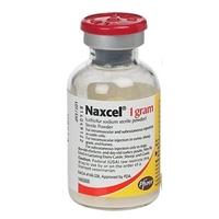 Naxcel Injection, 20 mL : VetDepot.com