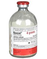 Naxcel Injection, 80 mL : VetDepot.com