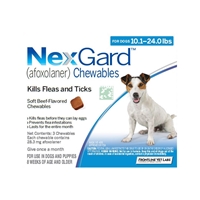 Nexgard for Dogs 10-24 lbs, 3 Month Supply