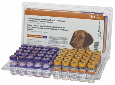 Nobivac Canine 1-DAPPv+Cv (5 Way + Corona) 25 ds tray