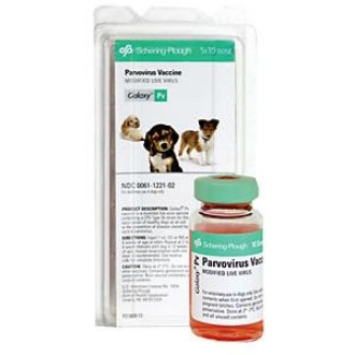 Nobivac PV Canine Parvo - 10 ds Vial