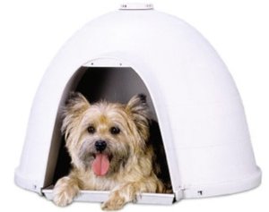 Petmate Dogloo XT Dog House, Medium