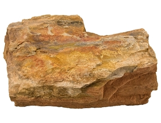 Petrified Wood Assorted Sizes, 25 lb