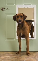 PetSafe Plastic Pet Door, Extra Large