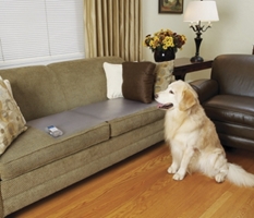 PetSafe ScatMat, Couch Size