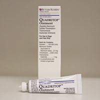 Quadritop Ointment, 15 mL