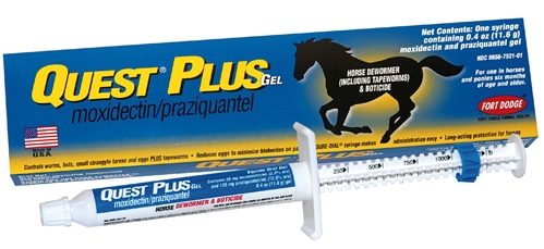 Quest Plus Gel, 1 Oral Syringe