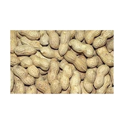 Raw Peanuts, 25 lb