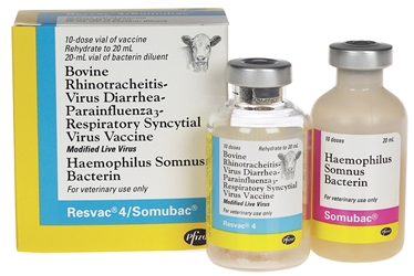 Resvac 4/ Somubac - 10 ds Vial