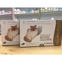 Revolution for Cats 15-22 lbs, 12 Pack (Taupe)