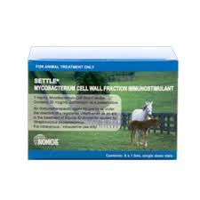 SETTLE Equine box of 6