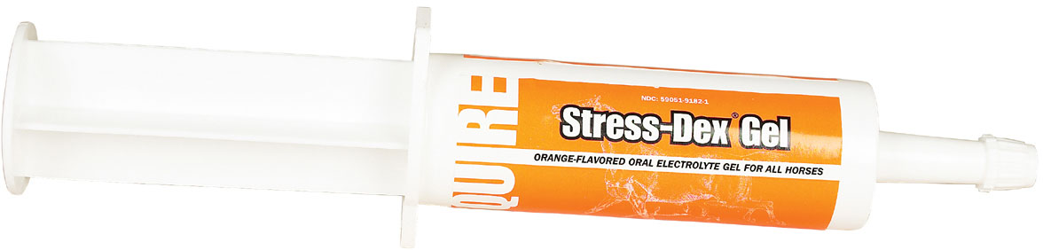 Stress-Dex Electrolyte Oral Gel, 60 cc Syringe