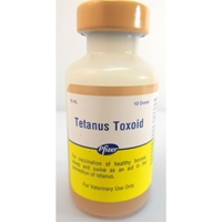 Tetanus Toxoid - 10 ds Vial