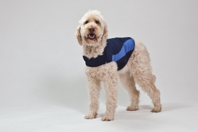 Thundershirt Blue Polo, Extra Extra Large