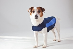 Thundershirt Blue Polo, Extra Extra Small