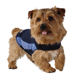 Thundershirt Blue Polo, Extra Small