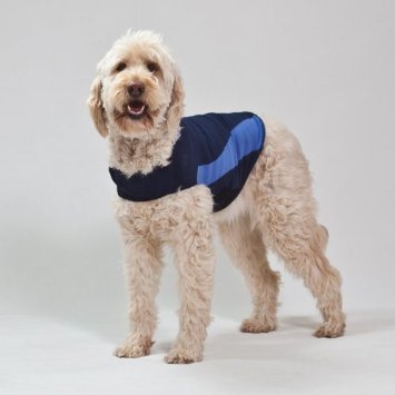 Thundershirt Blue Polo, Large