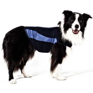 Thundershirt Blue Polo, Medium