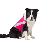 Thundershirt Pink Polo, Medium