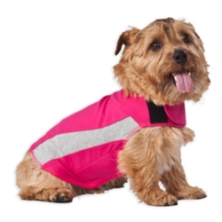 Thundershirt Pink Polo, Small