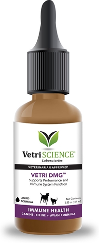 Vetri-DMG for Dogs, Cats, Birds, 3.8 oz (114mL)